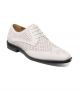 Stacy Adams Asher Wingtip Oxford in White (25653-100)